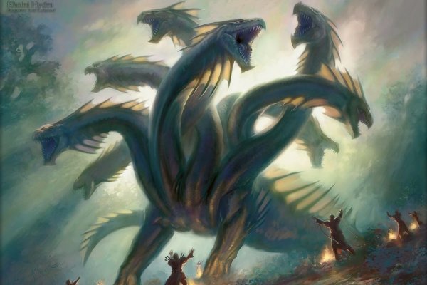 Kraken 12 att