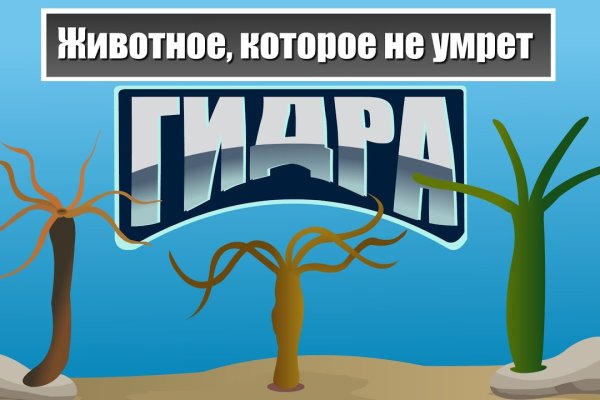 Кракен маркетплейс официальный сайт сайт ссылка