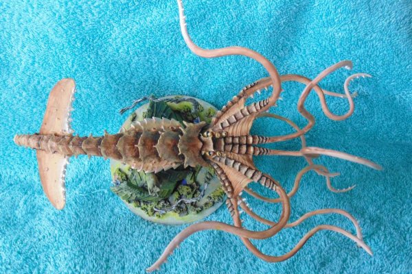 Kraken17at