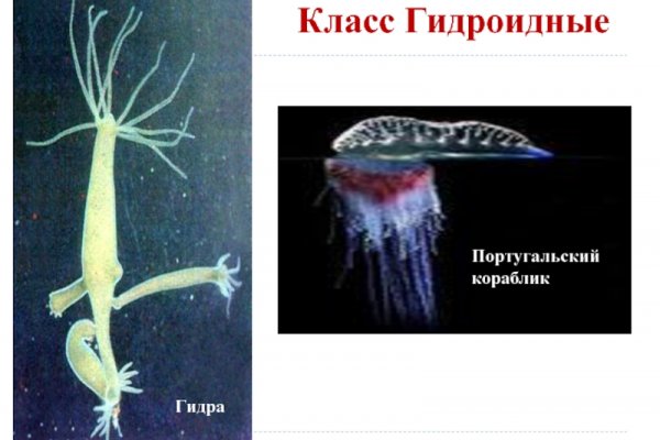 Кракен маркетплейс kr2web in