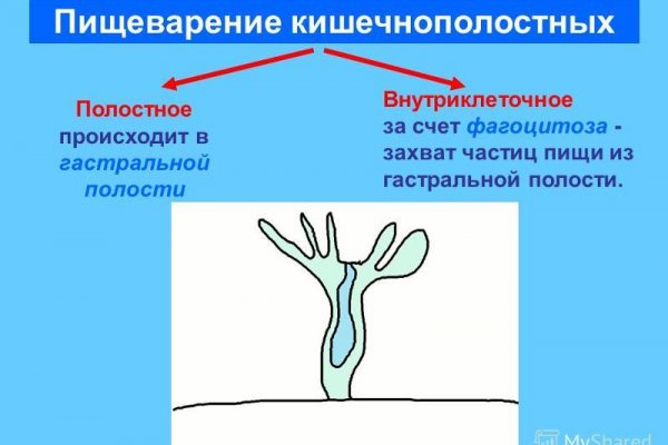 Кракен ссылка орион