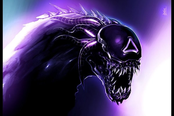 Kraken 13at