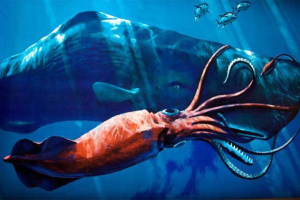 Kraken магазин интернет