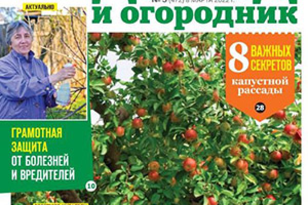 Кракен ссылка