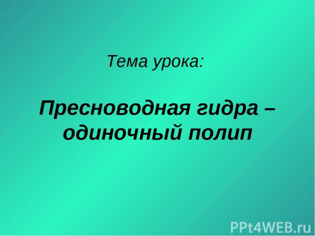 Кракен макет плейс
