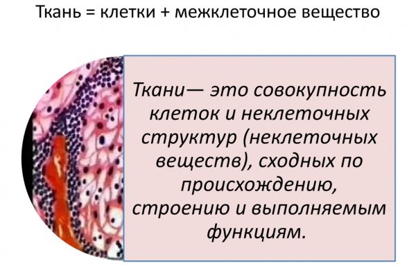Кракен невозможно зарегистрировать пользователя