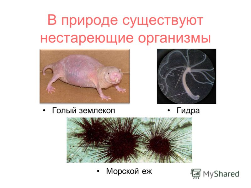 Как восстановить пароль на кракене